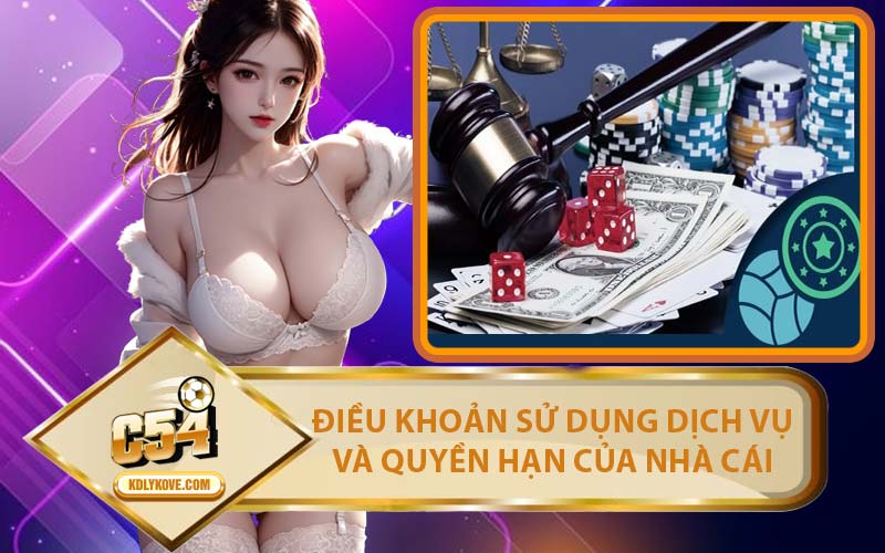Điều Khoản Sử Dụng Dịch Vụ Và Quyền Hạn Của Nhà Cái