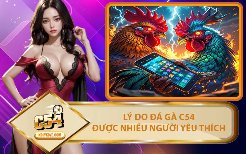 Lý Do Đá Gà C54 Được Nhiều Người Yêu Thích