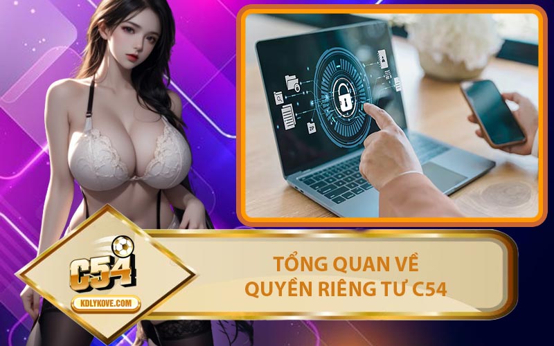 Tổng Quan Về Quyền Riêng Tư C54